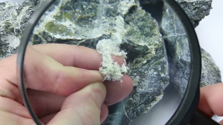 Trusted Auto Insurance Company San Diego Secure Your Ride Hassle-Free