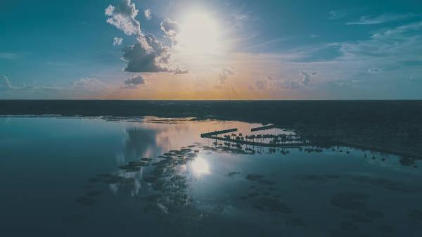 What Makes Westgate Resorts a Popular Choice for Vacation Owners