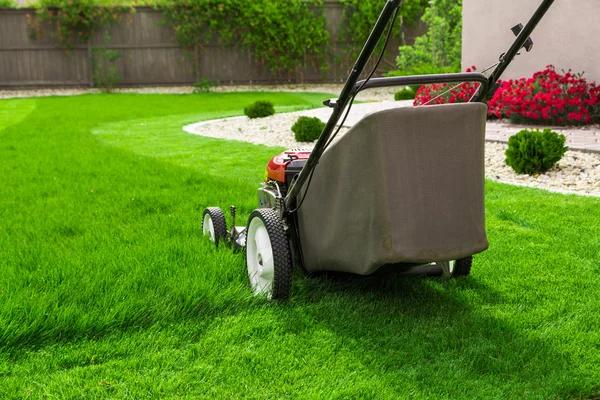 Seasonal Lawn Care Service to Keep Your Grass Thriving