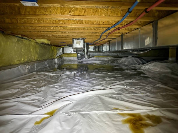 Complete Crawlspace Encapsulation Woodstock for Moisture & Mold Control