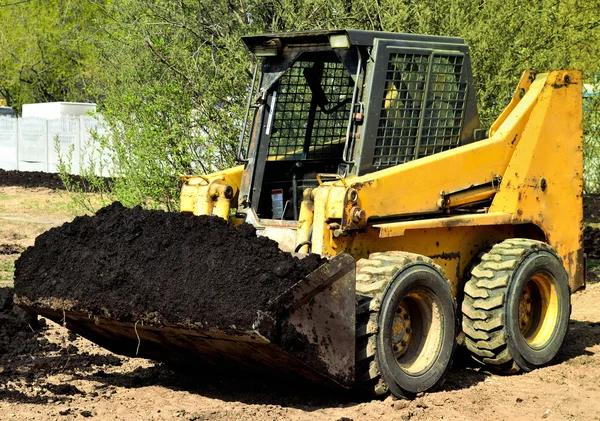 Affordable Landscaping Services in Casselberry for Every Budget