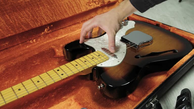 online guitar setup course for Beginners and Experts