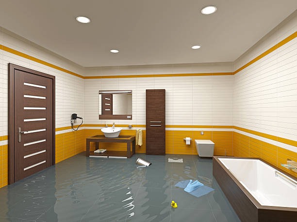 Reliable 2 Brothers Restoration Solutions for Residential and Commercial Restoration