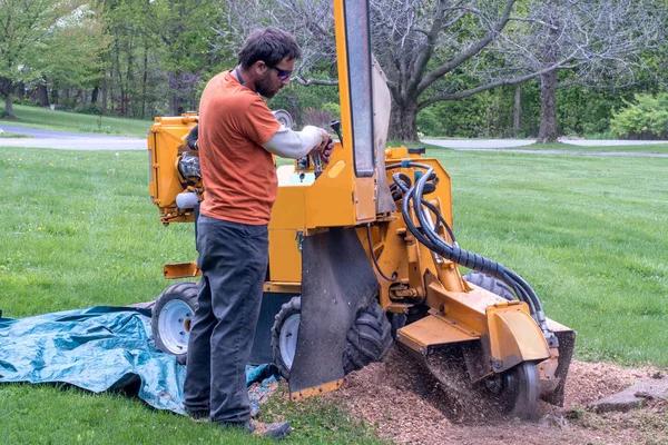 Why Stump Grinding Is Essential Before Installing a New Fence