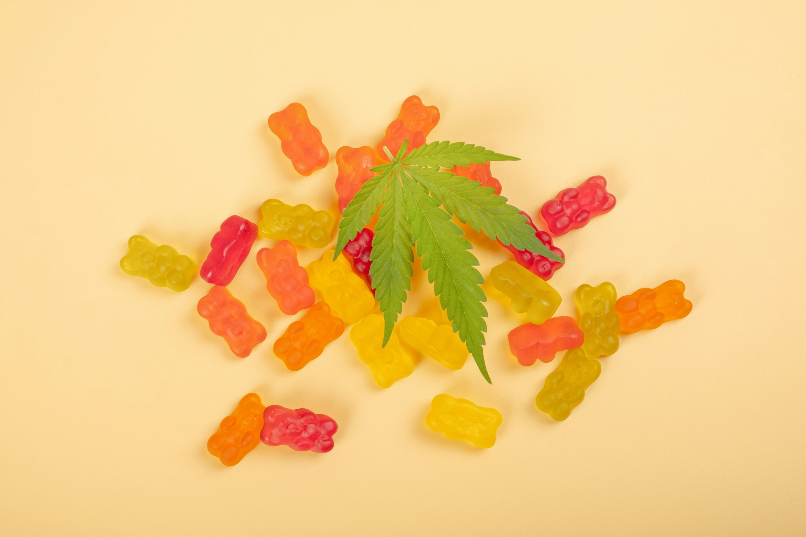 Learn How the Best Gummies for Sleep Compare Across Leading Brands